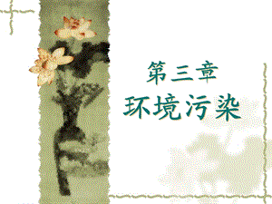 环境污染.ppt