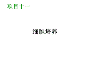 3）将愈伤组织在液体培养基中培养.ppt