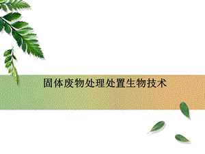 固体废物处理处置生物技术.ppt