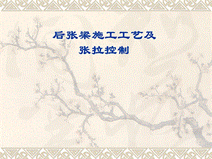 后张梁施工工艺及张拉控制.ppt