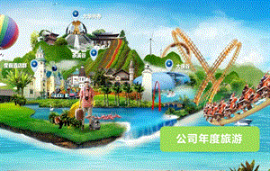 公司旅游组织.ppt