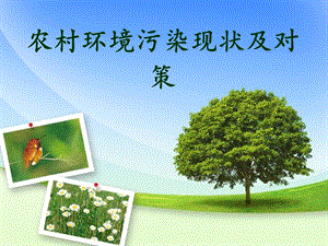 农村环境污染现状及其对策.ppt