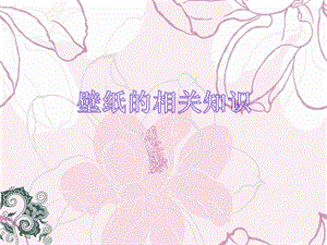 关于墙纸.ppt.ppt