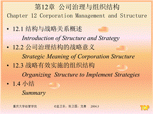 公司治理与组织结构.ppt