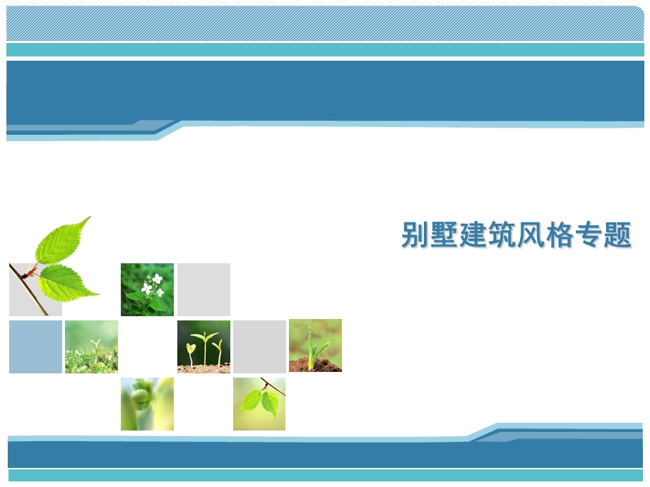 别墅建筑风格专题介绍.ppt_第1页