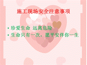 安全与标准化工地建设.ppt