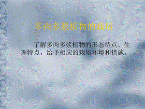 多肉多浆植物.ppt
