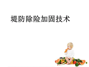 堤防除险加固技术(PPT).ppt
