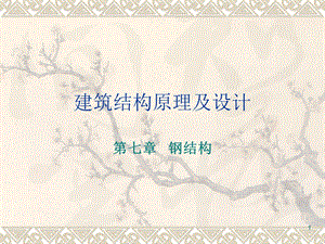 建筑结构原理及设计教学课件PPT钢结构.ppt
