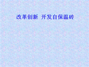 建筑QC—改革创新 开发自保温砖.ppt