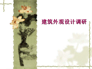 建筑外观设计调研培训讲座PPT.ppt