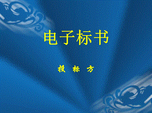 工程造价电子标书（投） .ppt