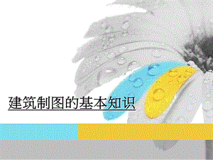 建筑制图基本知识.ppt