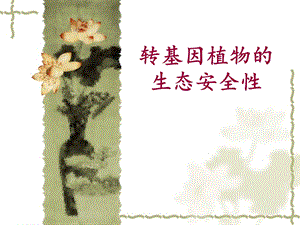 转基因植物的生态安全.ppt