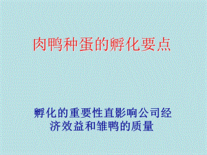 樱桃鸭孵化技术简述.ppt