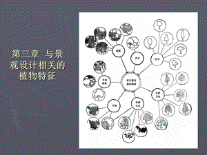 第三章与景观设计相关的植物特征.ppt