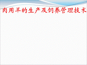 肉用羊的生产组织和饲养管理技术.ppt