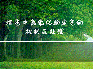 氮氧化物废气的处理.ppt