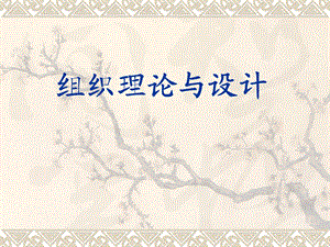 组织理论与设计第二讲战略、组织设计和效果.ppt