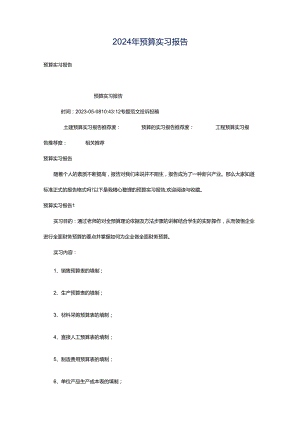 2024年预算实习报告.docx