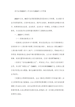 县司法局2023年工作总结及2024年工作思路.docx