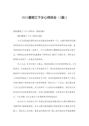 2024暑期三下乡心得体会（3篇）.docx