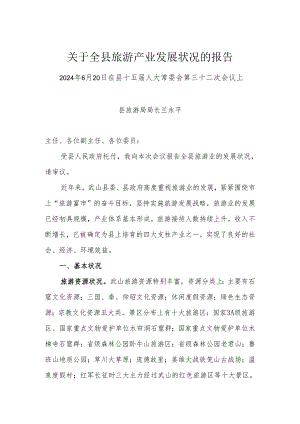 武山县旅游产业发展情况的报告(2024年6月14日改人大).docx