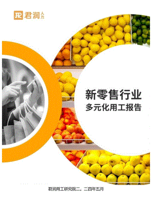 2024新零售行业多元化用工报告word版.docx