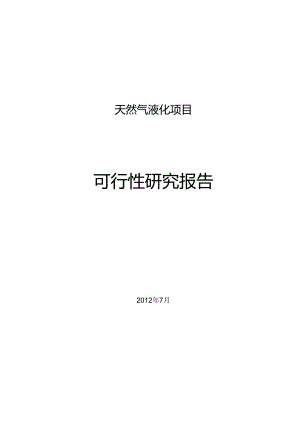 液化天然气(LNG)项目可研.docx