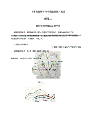 6-附件二 如何快速学会足反射疗法.docx