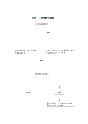 急诊分娩急诊服务流程(最新).docx