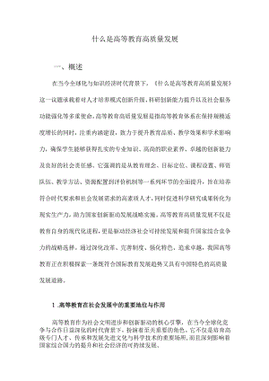 什么是高等教育高质量发展.docx