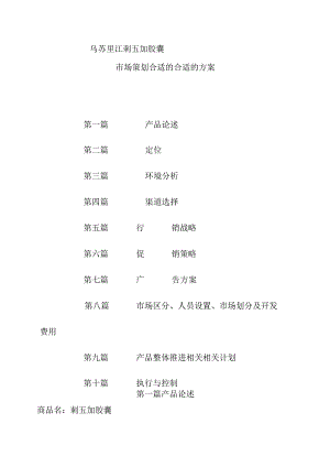 X胶囊市场策划方案.docx