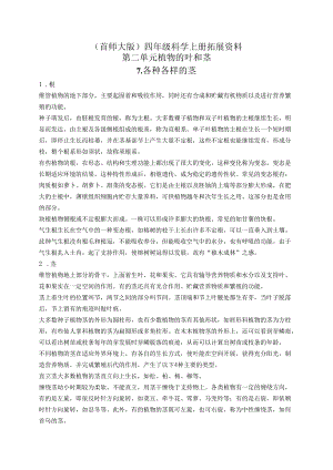 首师大小学科学四上《7.各种各样的茎》word教案.docx
