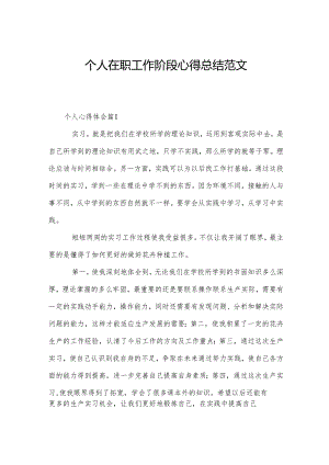 个人在职工作阶段心得总结范文.docx