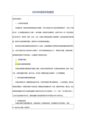 2024年项目评估报告.docx