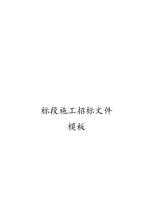 标段施工招标文件模板.docx