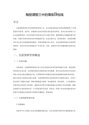 企业全面预算管理中的问题及解决实践.docx