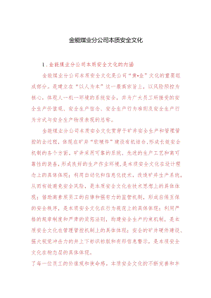 X煤业分企业本质安全文化.docx