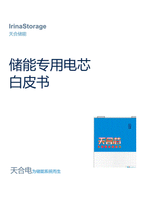 储能专用电芯白皮书 2024.docx