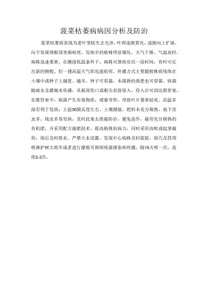 菠菜枯萎病病因分析及防治.docx