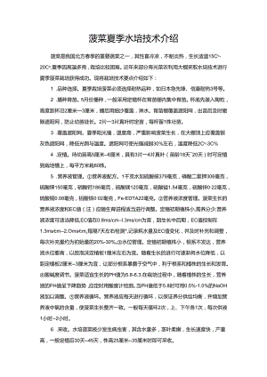 菠菜夏季水培技术介绍.docx