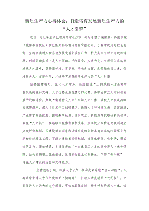 新质生产力心得体会：打造培育发展新质生产力的“人才引擎”.docx