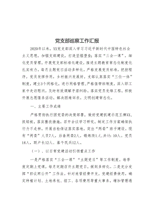 党支部巡察工作汇报&市委书记关于巡视巡察工作交流发言材料.docx