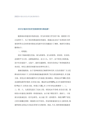 2023乡镇农村经济发展调研报告.docx