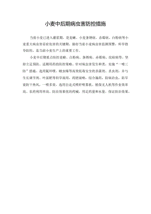 小麦中后期病虫害防控措施.docx