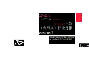 2023年度婚嫁（含写真）行业月报：2023.12月-小红书.docx