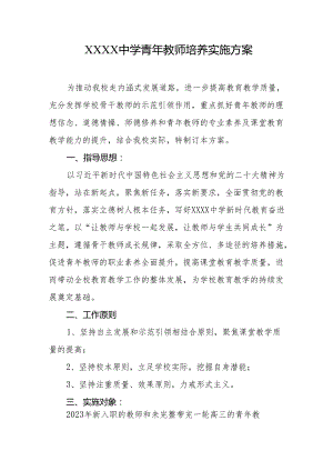 中学青年教师培养实施方案.docx