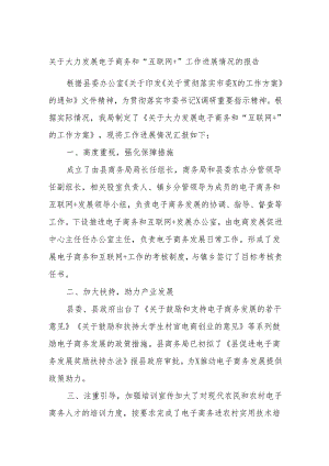 关于大力发展电子商务和“互联网＋”工作进展情况的报告.docx