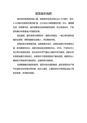 菠菜越冬施肥.docx